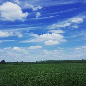 Meet your Posher, Sonia